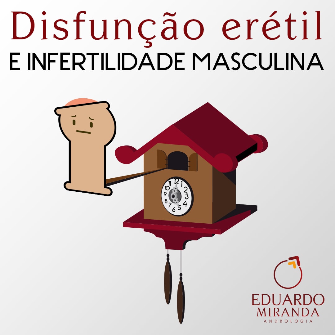 Disfunção erétil e infertilidade masculina - Dr. Eduardo Miranda